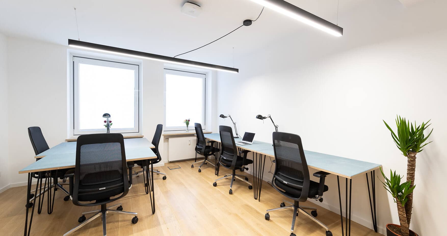 Unicorn München Kaufingerstraße Foto 4